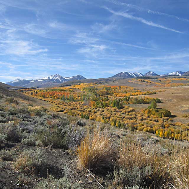 Fall colors at Conway Summit