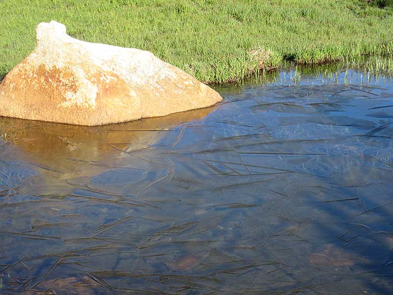 Ice Sheets on Meadow Stream