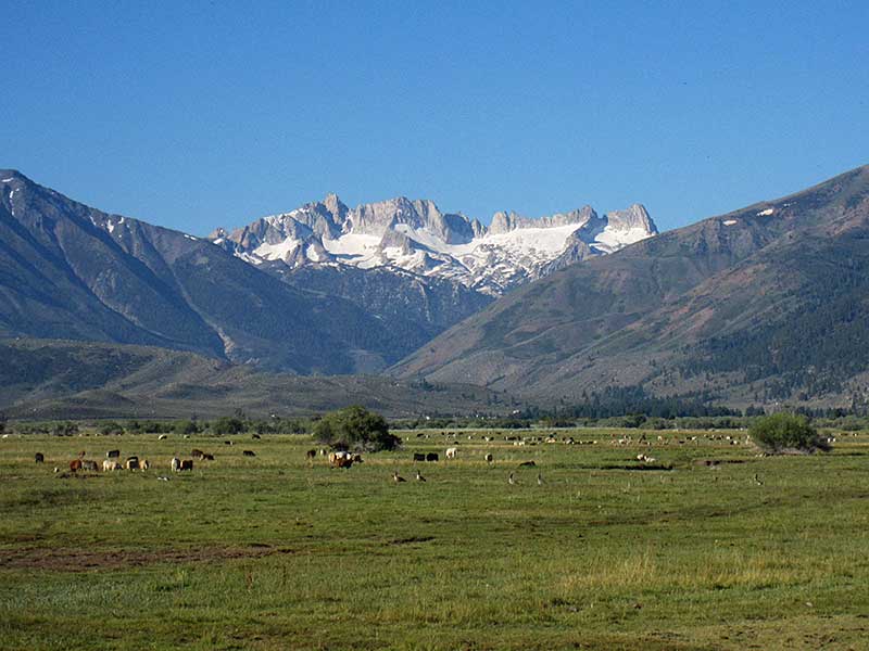 Hoover Wilderness View from Highway 395