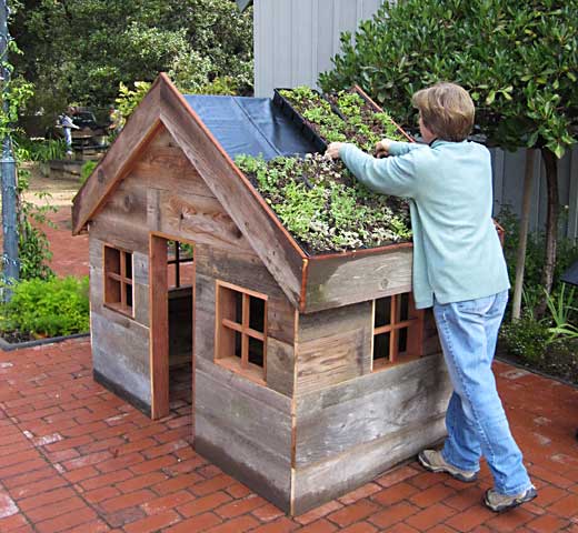 Placing Plants on the Green Roof