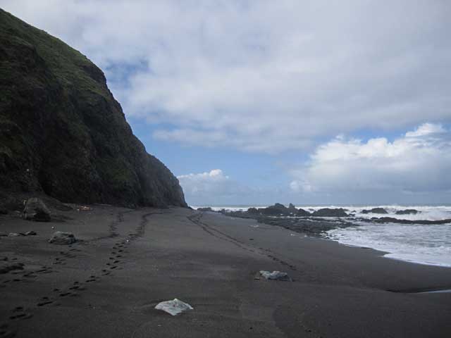 Walking Along the Beach