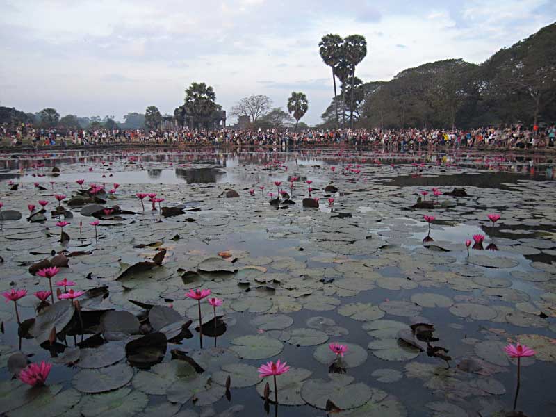 Crowd Gathered for Sunrise, Angkor Wat