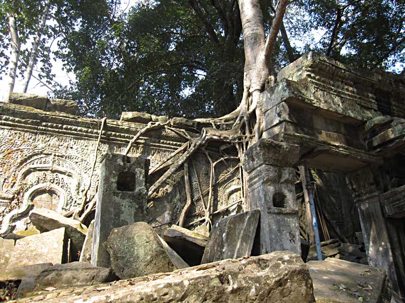 Ta Prohm (aka the Jungle Temple)