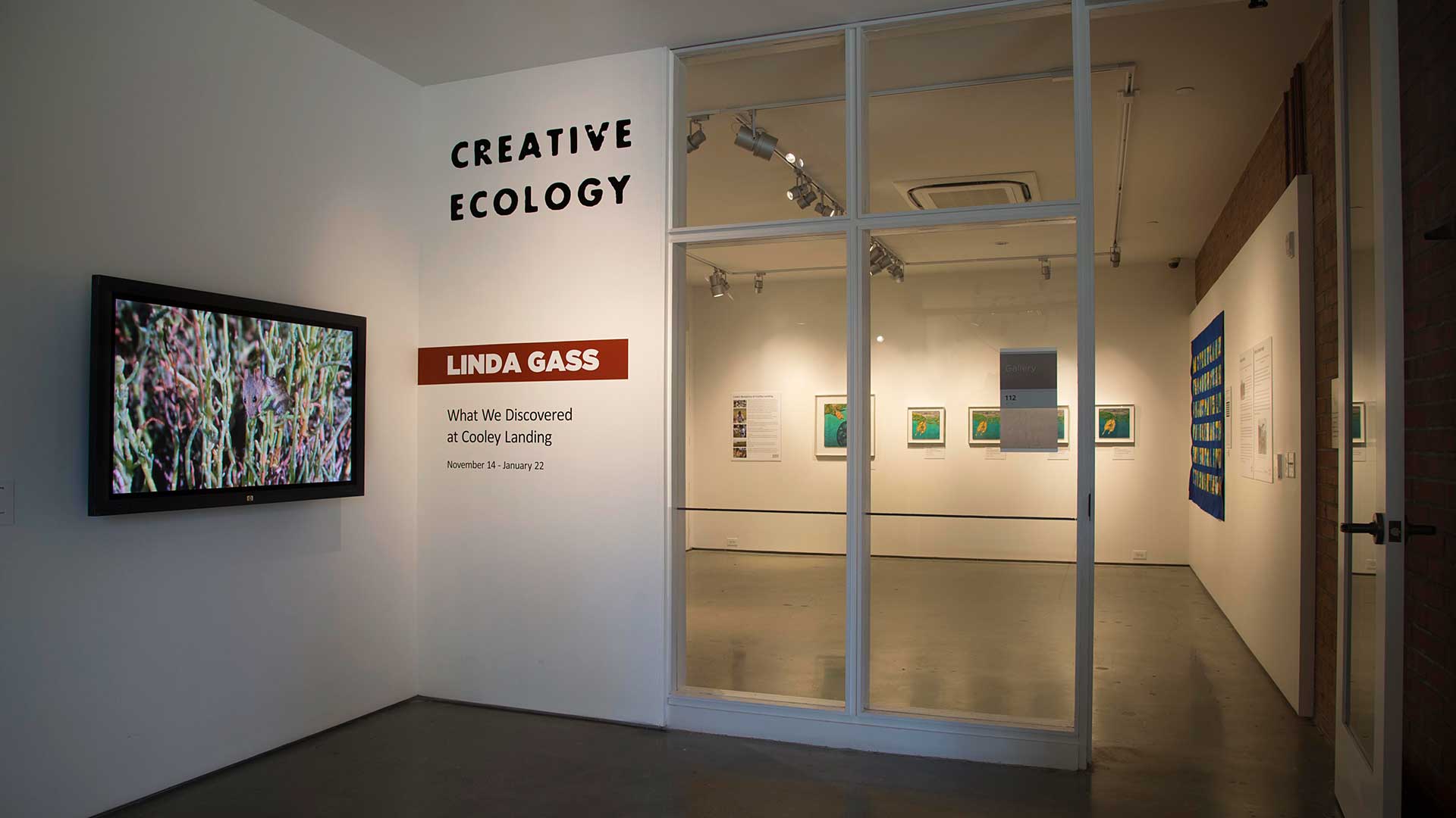 Linda Gass Creative Ecology Exhibition at the Palo Alto Art Center