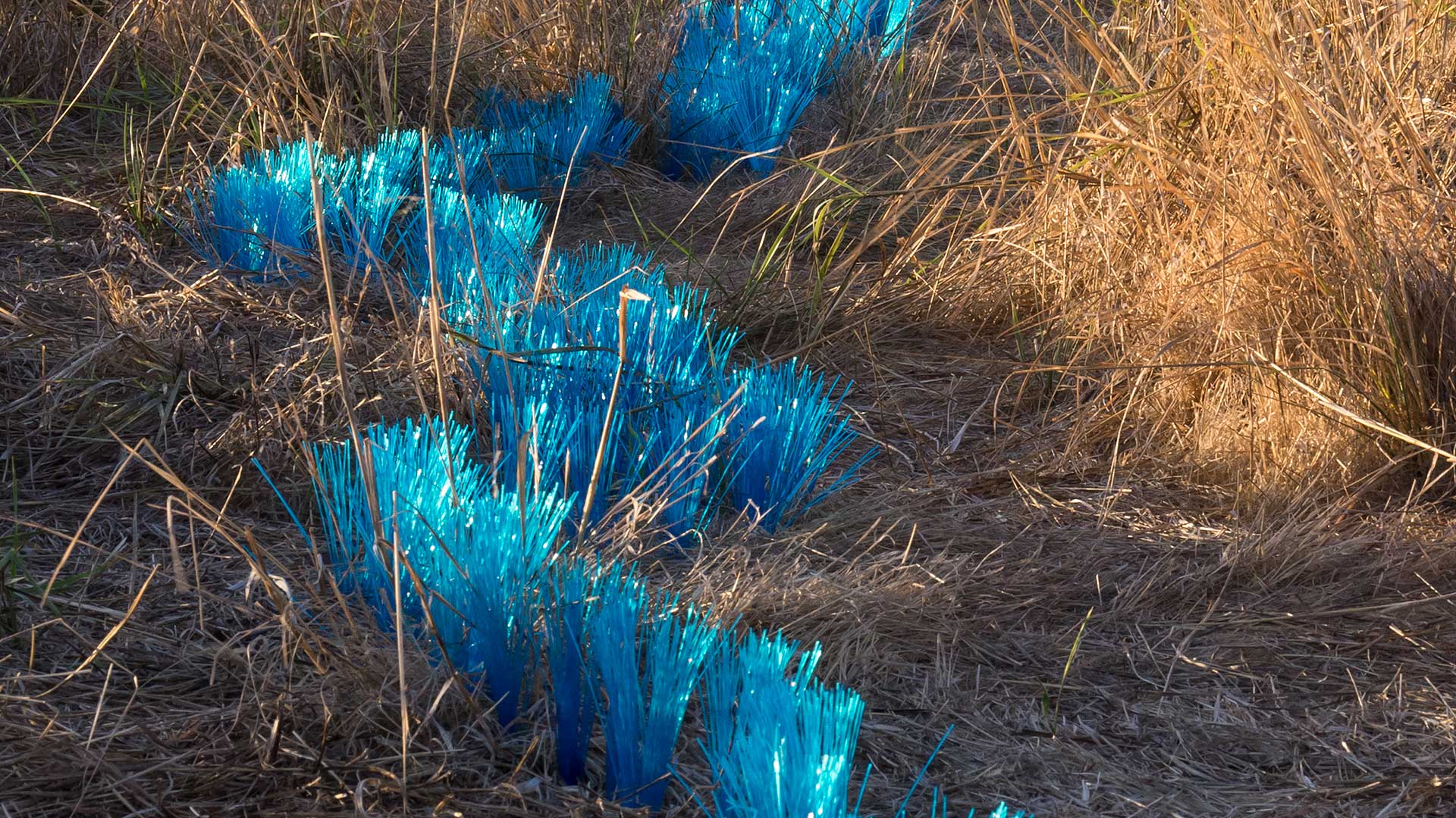 Close-up view of the temporary Land Art Installation at Cooley Landing