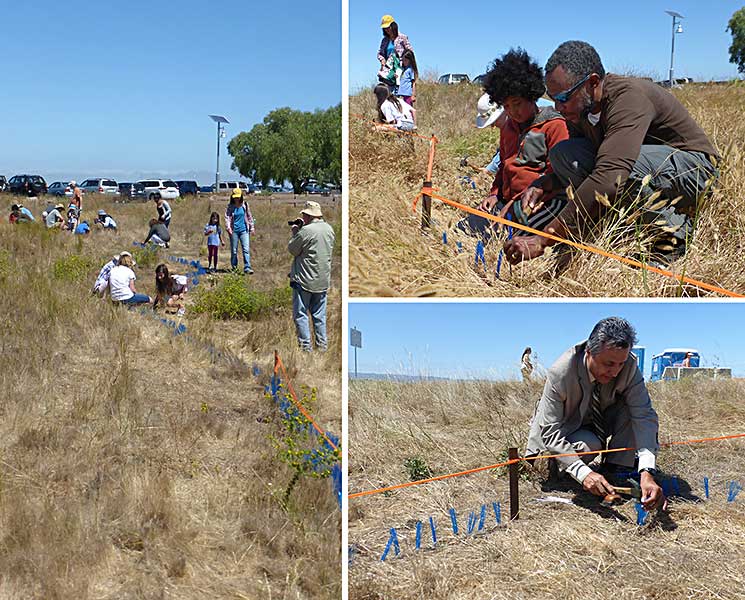 Community members helping to create land art installation at Cooley Landing
