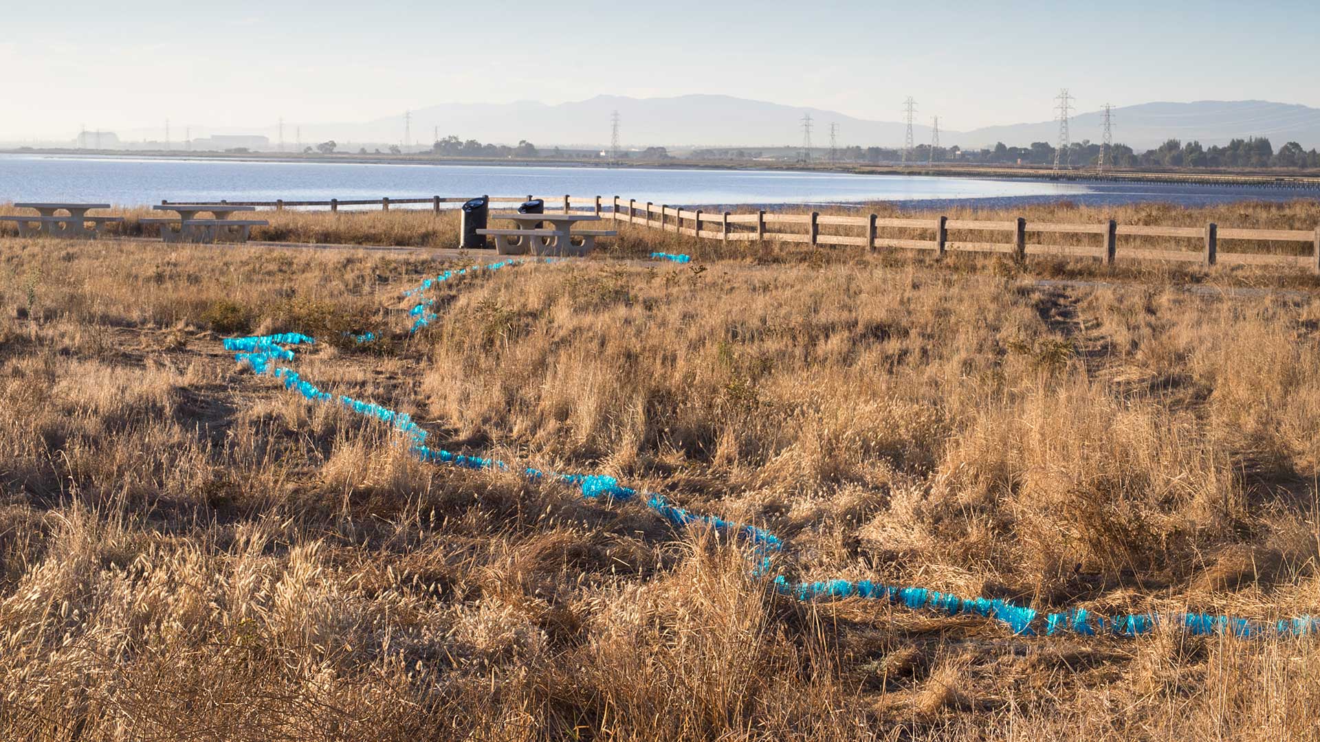 Temporary Land Art Installation at Cooley Landing