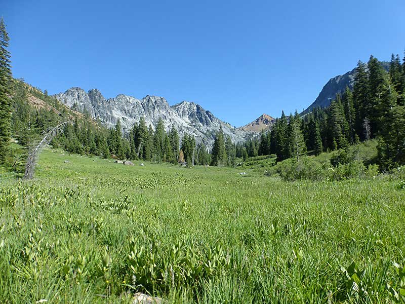 View from Deer Camp Campsite in Trinity Alps