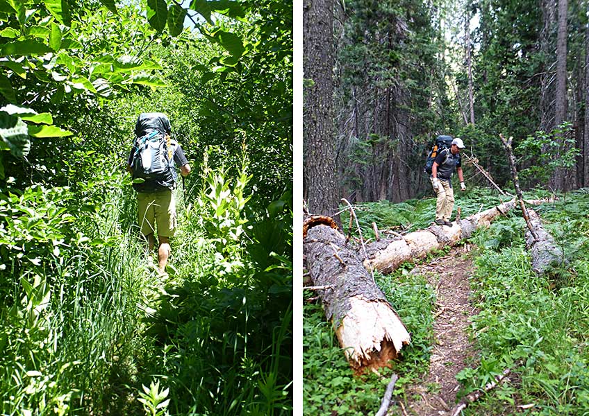 Unmaintained trail with blowdowns in Trinity Alps