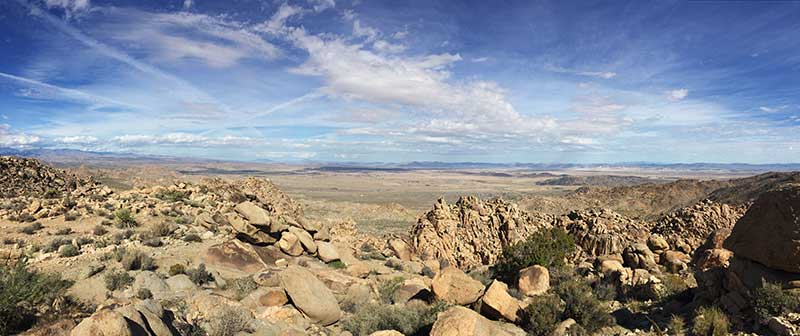 Painted Sky, View of Mojave Desert from Joshua Tree