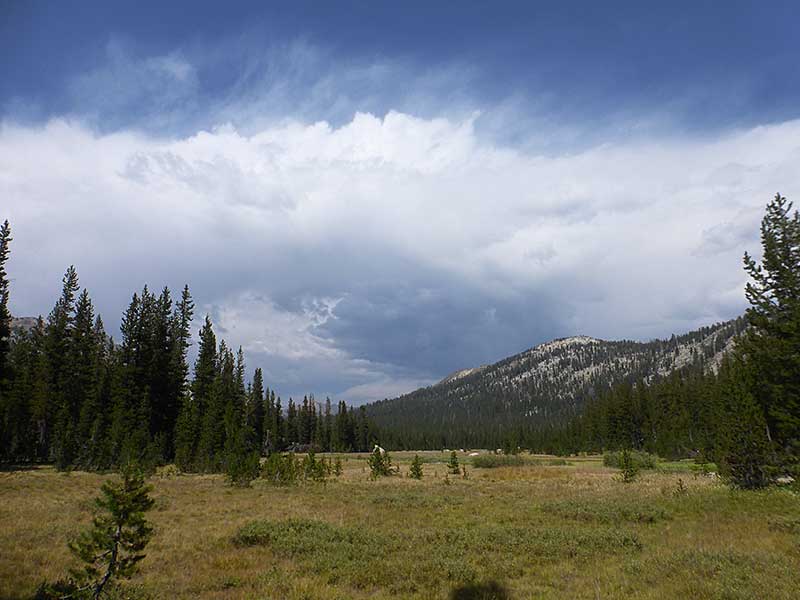 Thunderstorm in Grace Meadow
