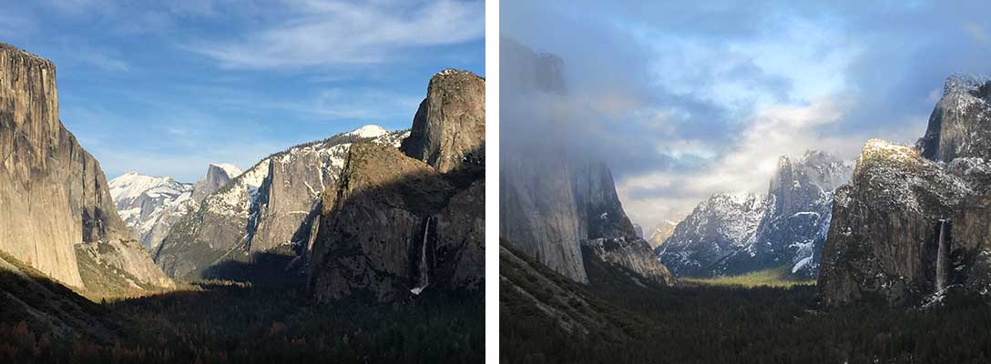 'Comparison of Dying Trees from Valley View between 2010 and 2016