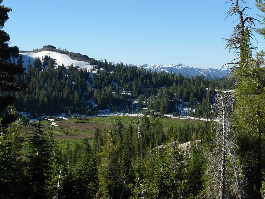 Meadows and Mountains