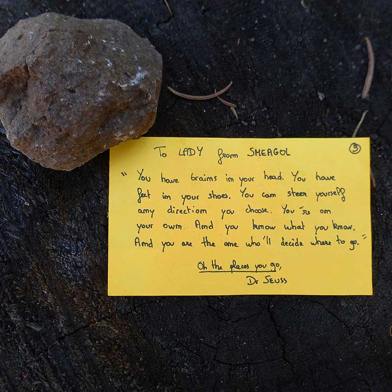 Photo of Sweet Note