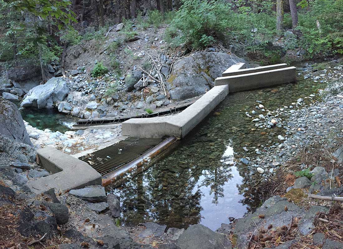 Dam and Fish Ladder on Milton Creek