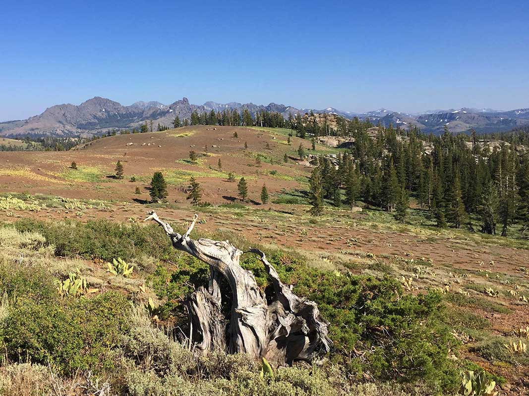 Vast Views atop the Sierra Crest