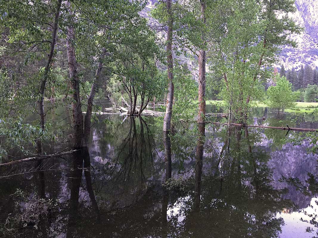 Merced River in Flood