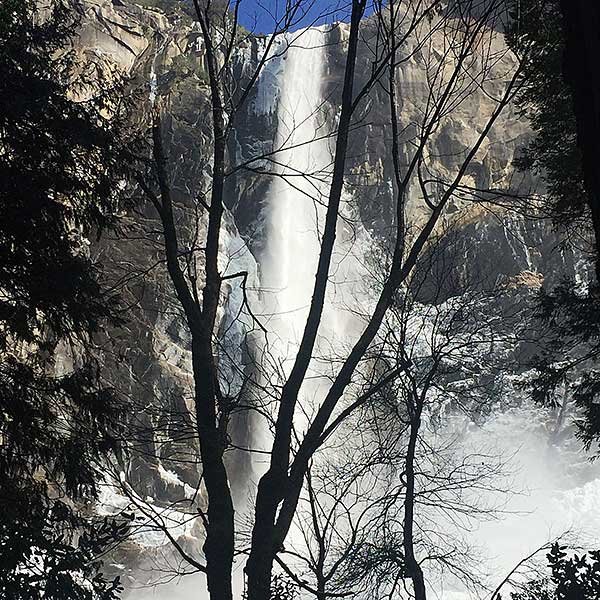 Bridal Veil Falls with Trees
