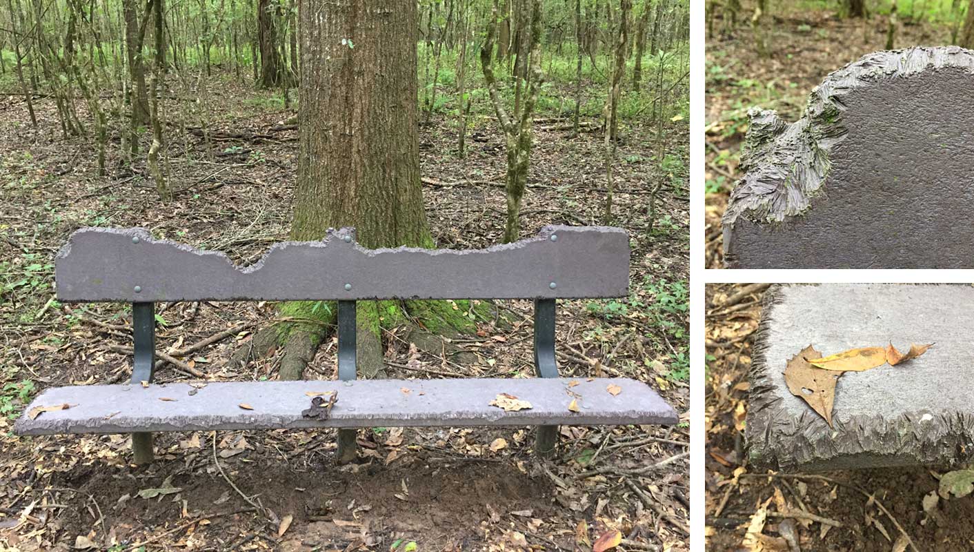 Chewed bench in Atchafalaya Wildlife Refuge