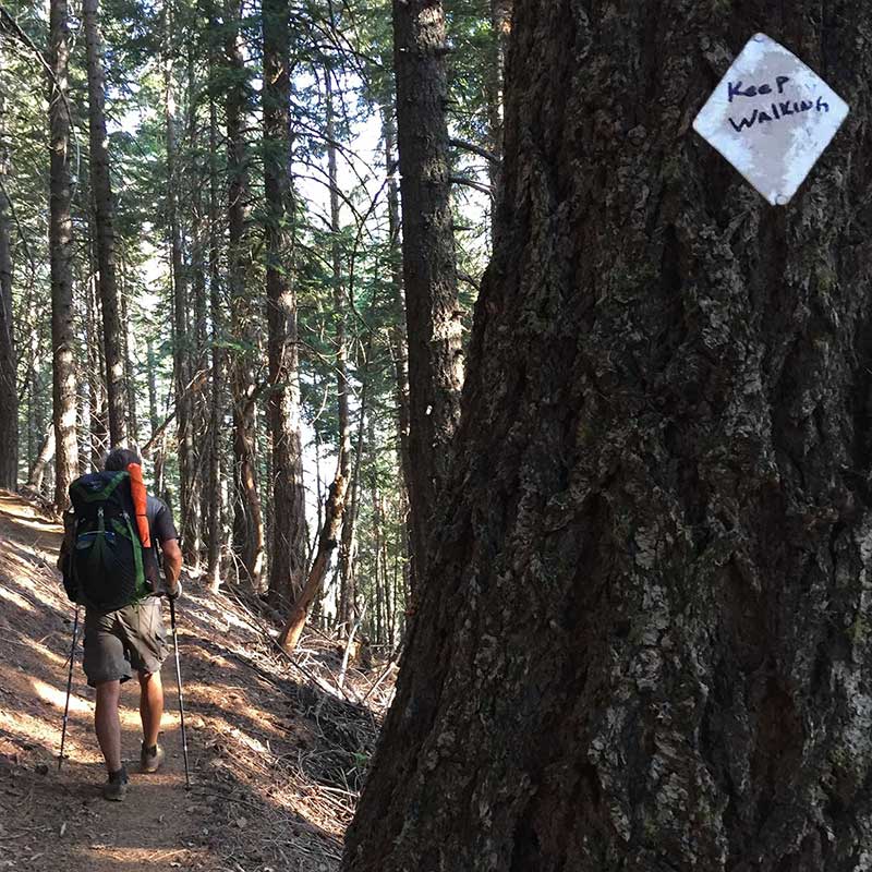 Words 'Keep Walking' on PCT Trail Marker