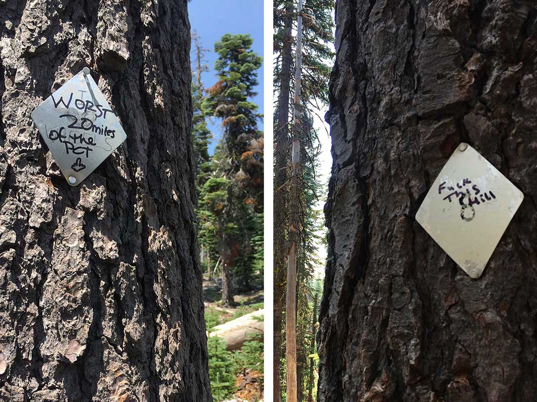 Words of dispair written on PCT trail markers