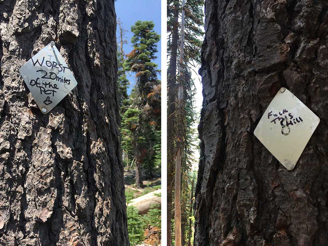 Words of dispair written on PCT trail markers