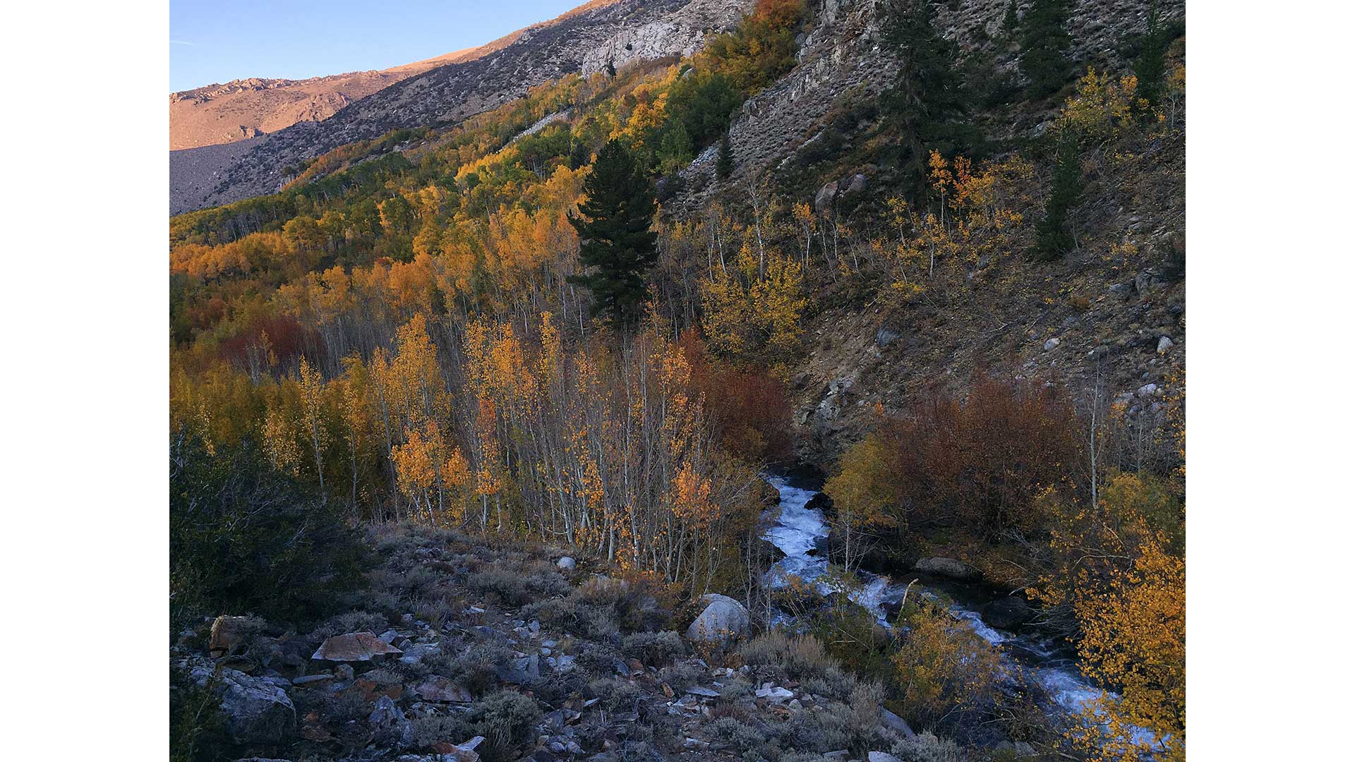 Bishop Creek Canyon