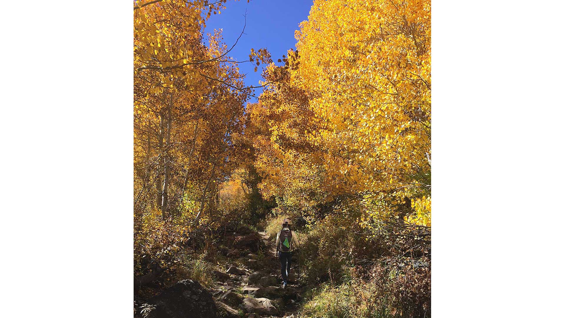 Hiking on the trail to Green Lake