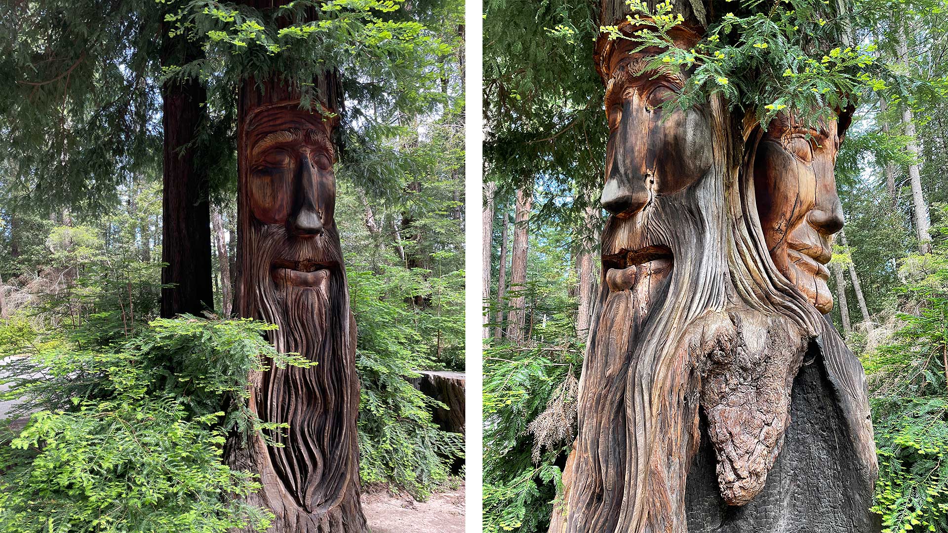 Kitschy Redwood Tree Carvings
