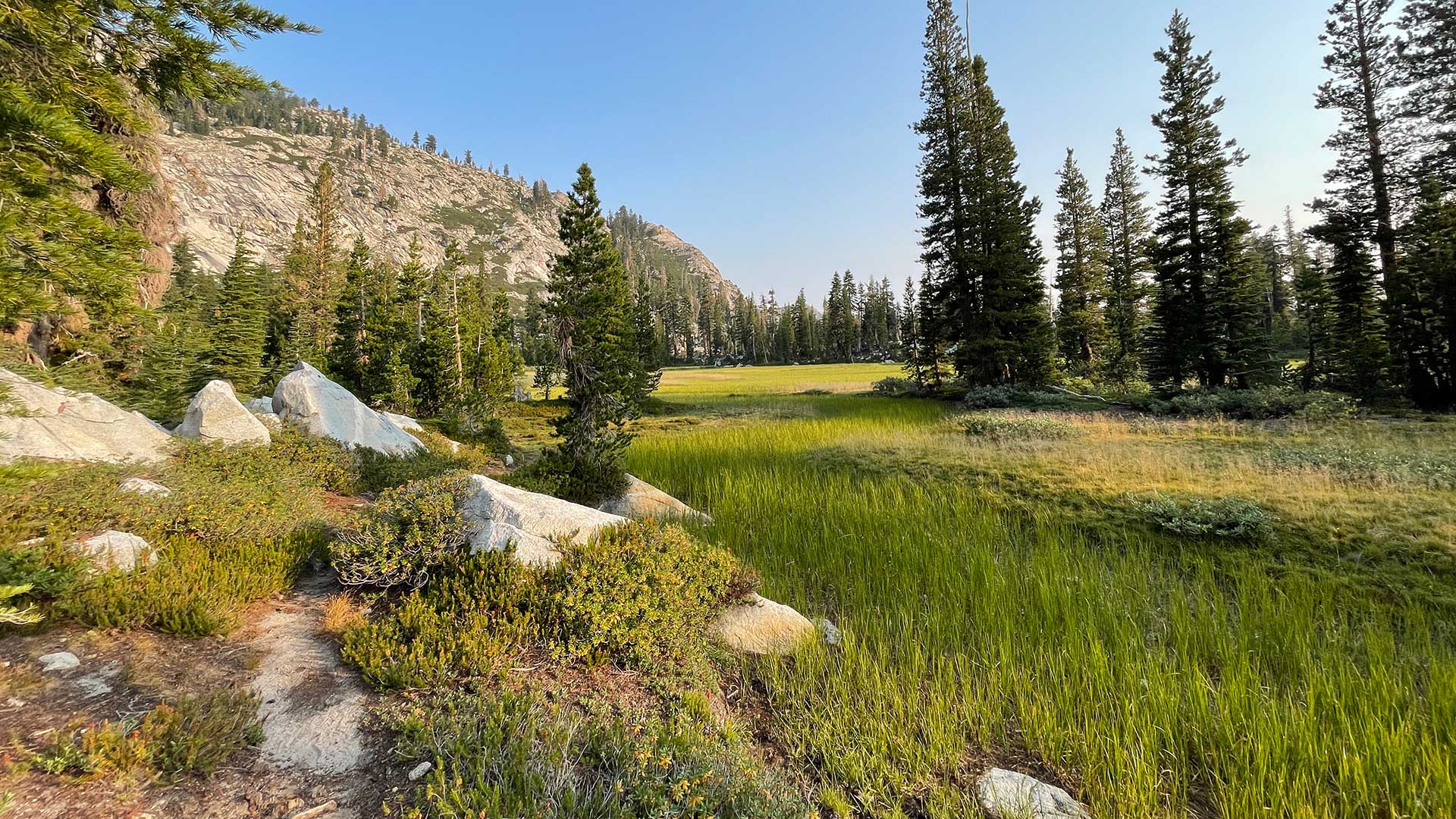 McConnell Lake is really more of a meadow
