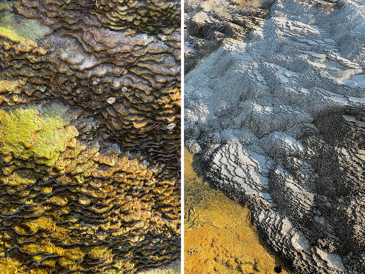 Patterns from terraces at Jupiter Spring