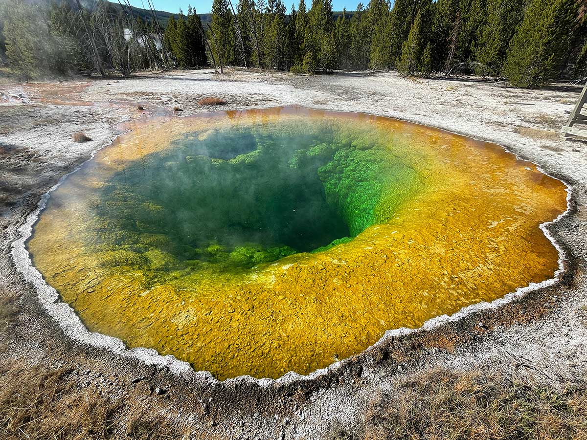 Morning Glory Pool, Yellowstone