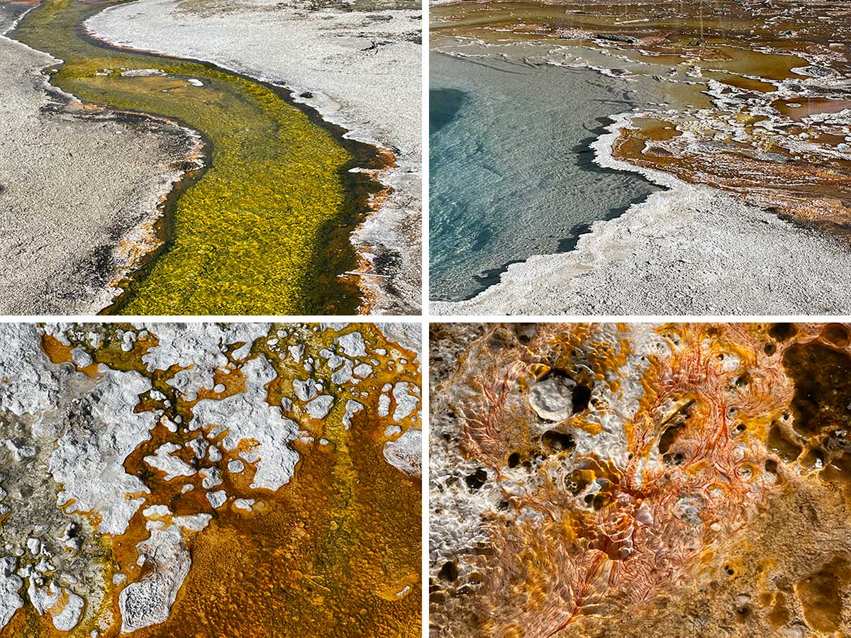 Patterns and colors in hot springs