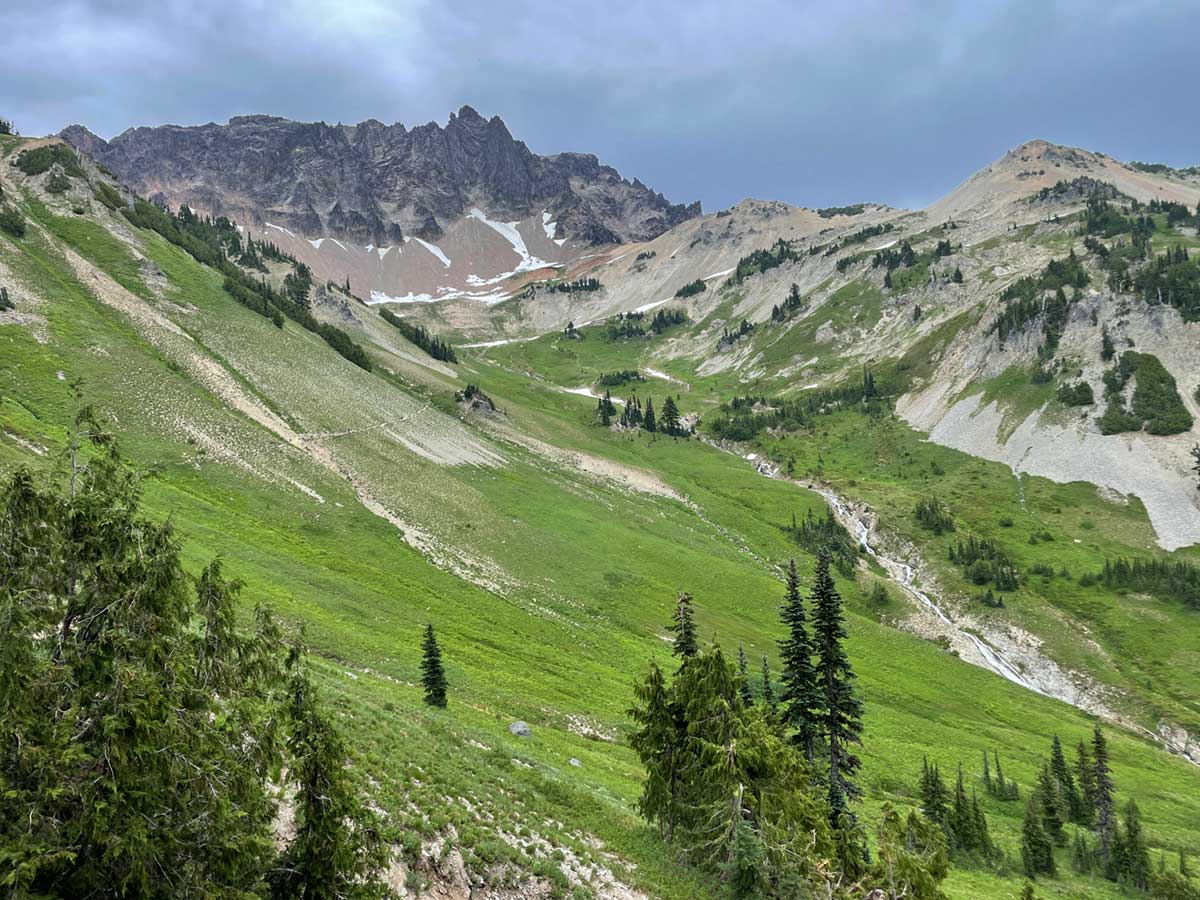 Goat Rocks Wilderness, so green