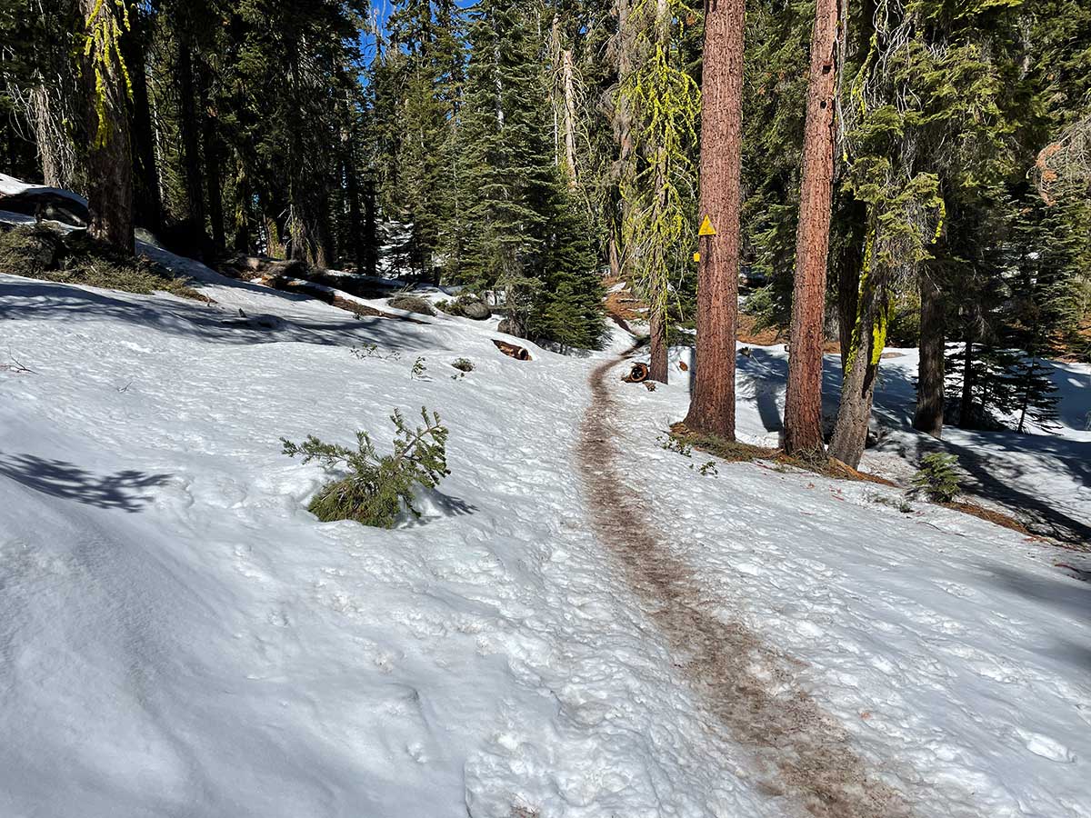 Dirt on trail to Dewey Point