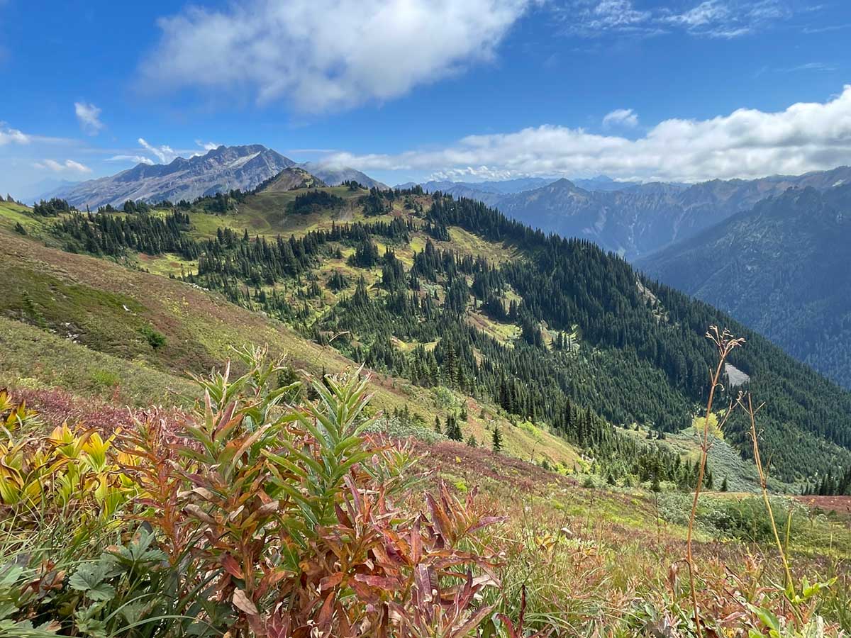 High Meadows in Glacier Peak Wilderness