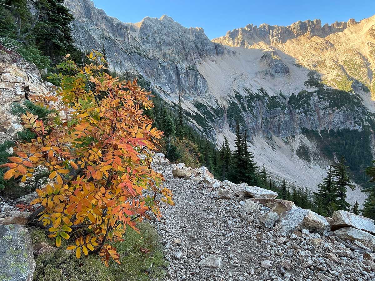 View north of Cutthroat Pass