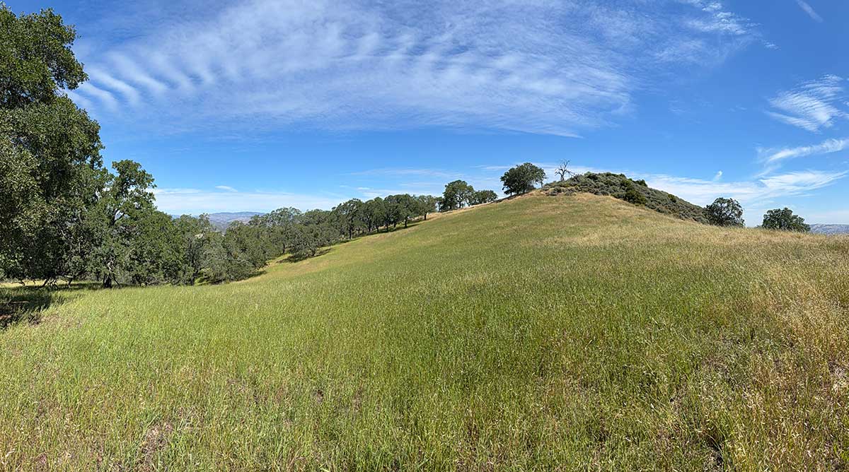 Green grasses and clouds at Henry Coe State Park