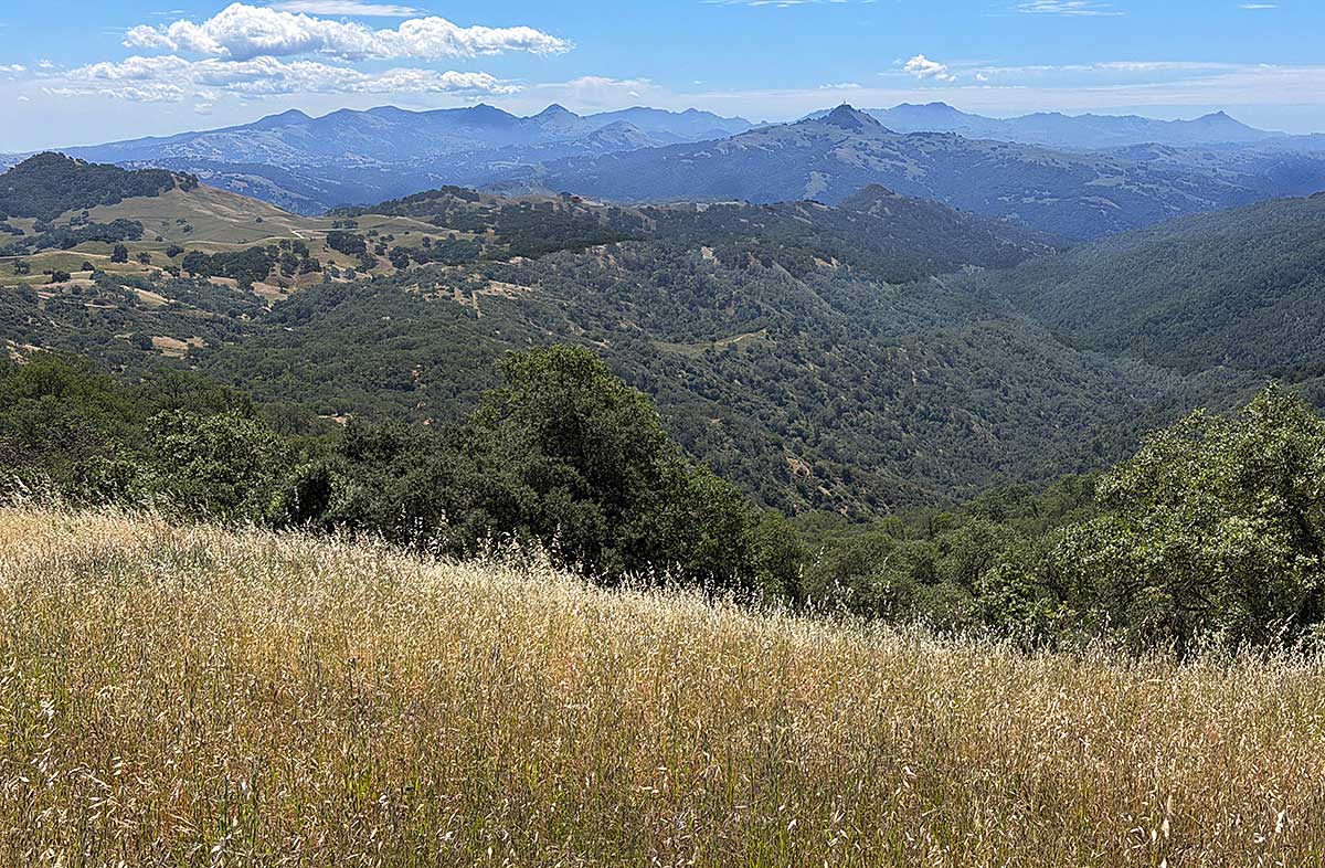 View of Oristimba Wilderness