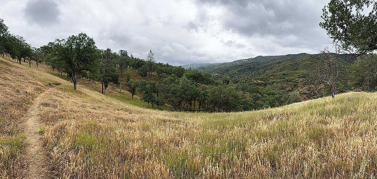 Grasslands transitioning to Oak Forest