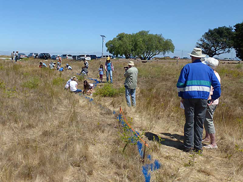 Creating Land Art with the Community at Cooley Landing