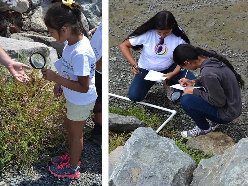 Youth using magnifying glasses to observe and record what they saw