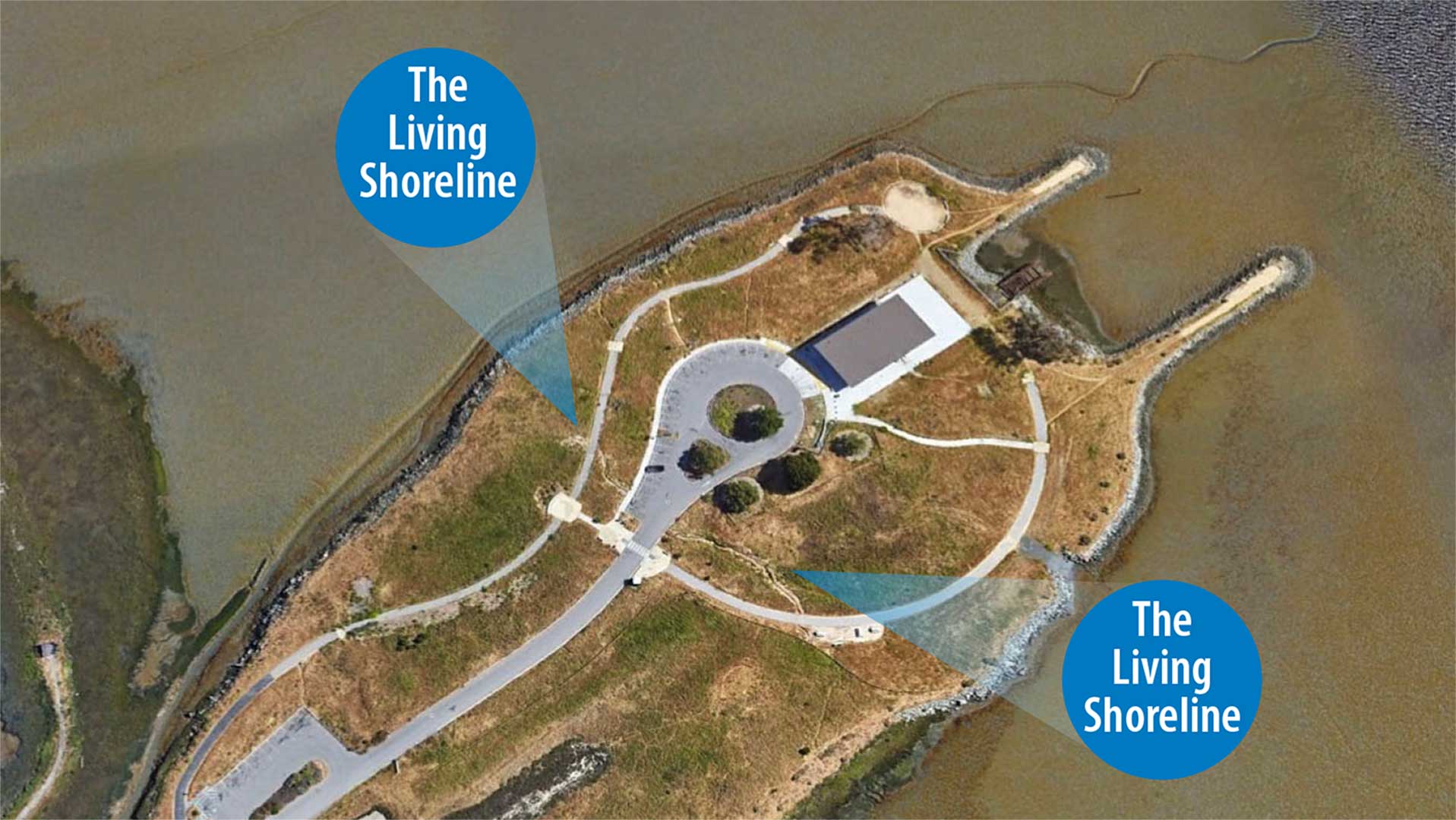 Living Shoreline installation is visible from space as seen in this  Satellite Image