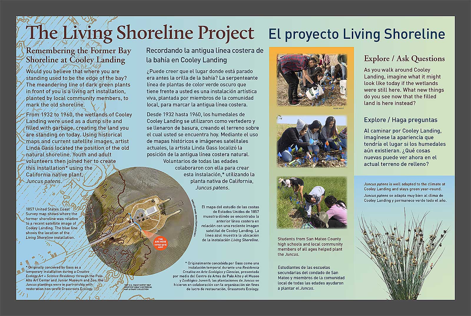 Interpretive Sign for The Living Shoreline