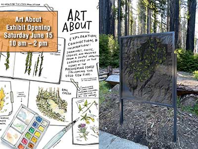 Promo Image for Big Basin Art About