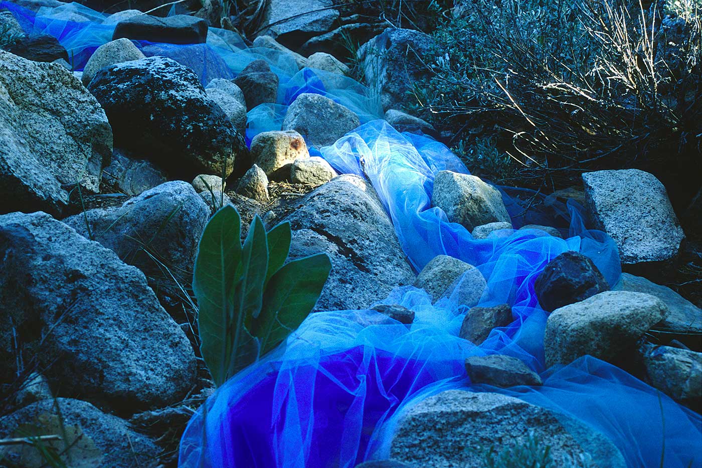 Rivulet at Parker Creek ©2000 Linda Gass