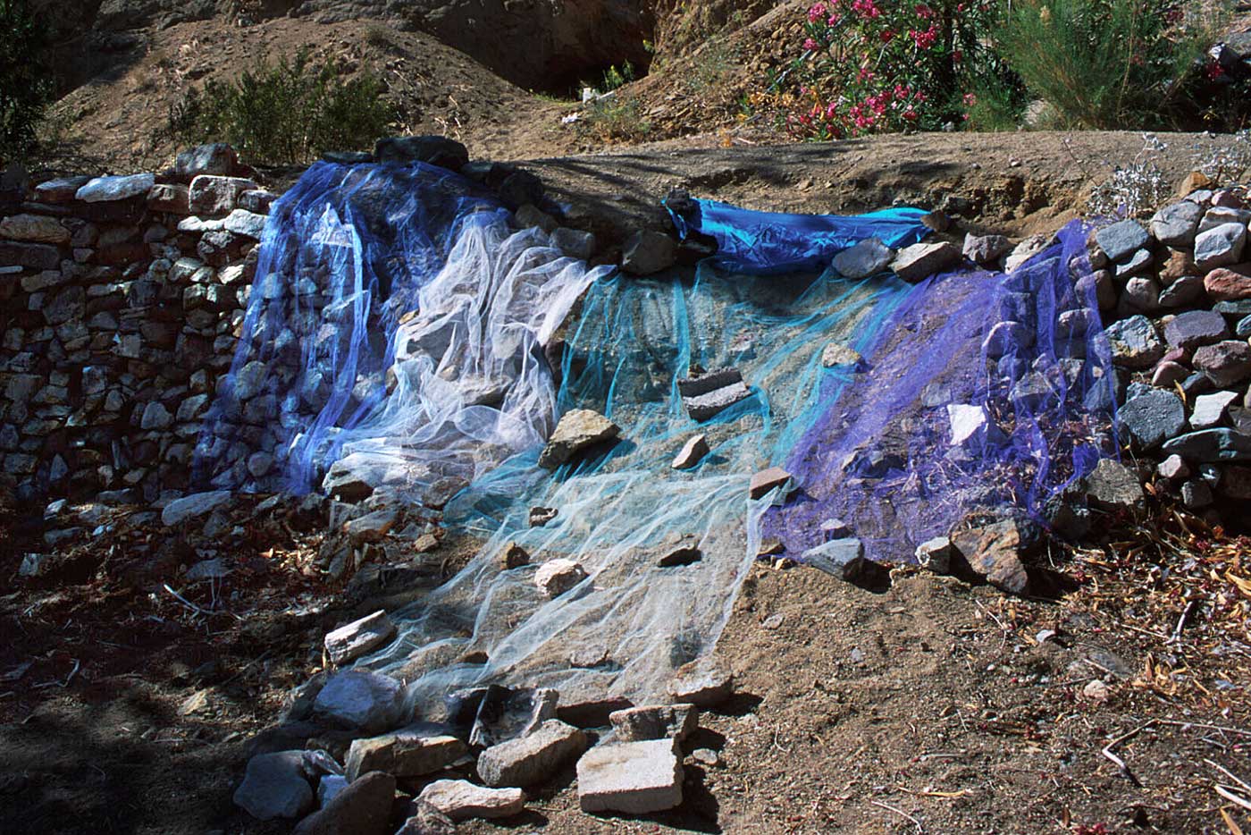 Dam Break At Warm Springs, Death Valley ©2000 Linda Gass