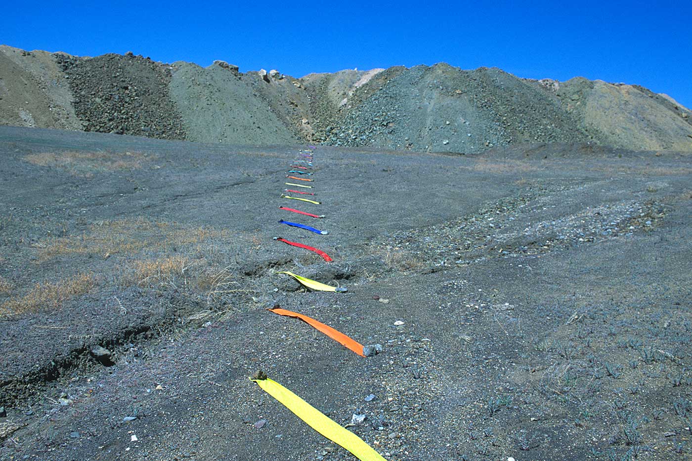 Suturing the Mine ©2001 Linda Gass