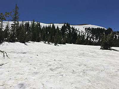 Snowfield just past Donner Summit along the Pacific Crest Trail