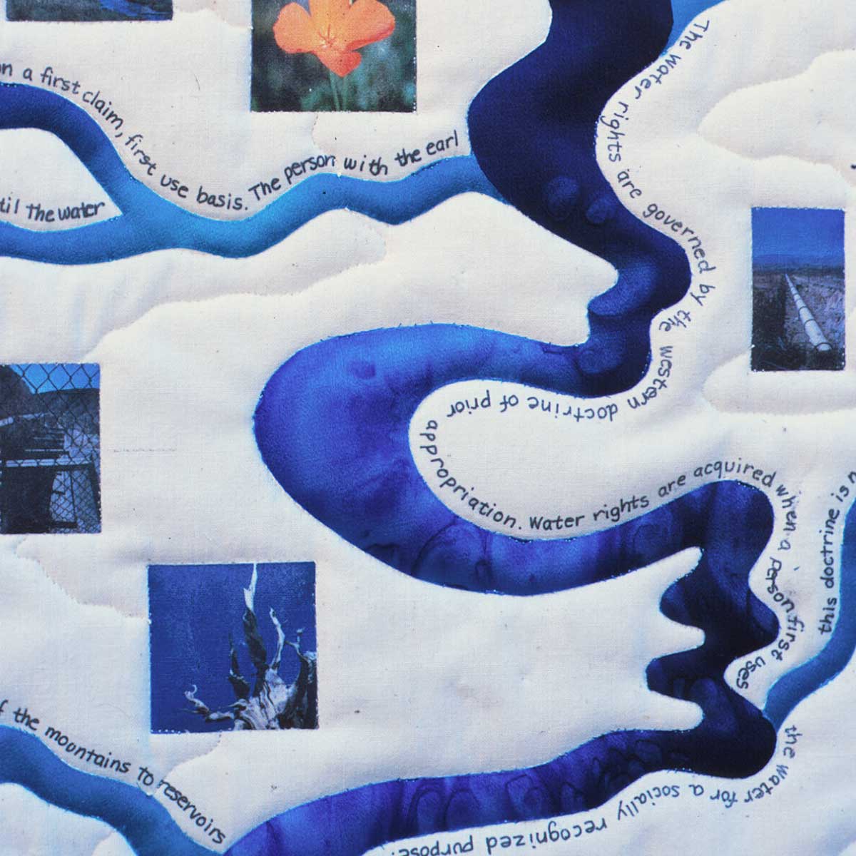 Detail image of Water Rights ©2001 Linda Gass
